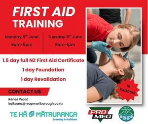 First Aid course in June First Aid course in June