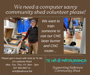 We need a computer savvy volunteer please!