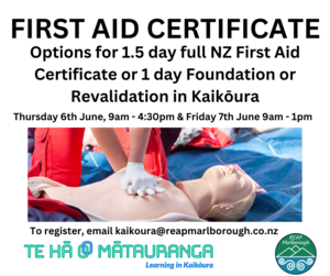 First Aid Training